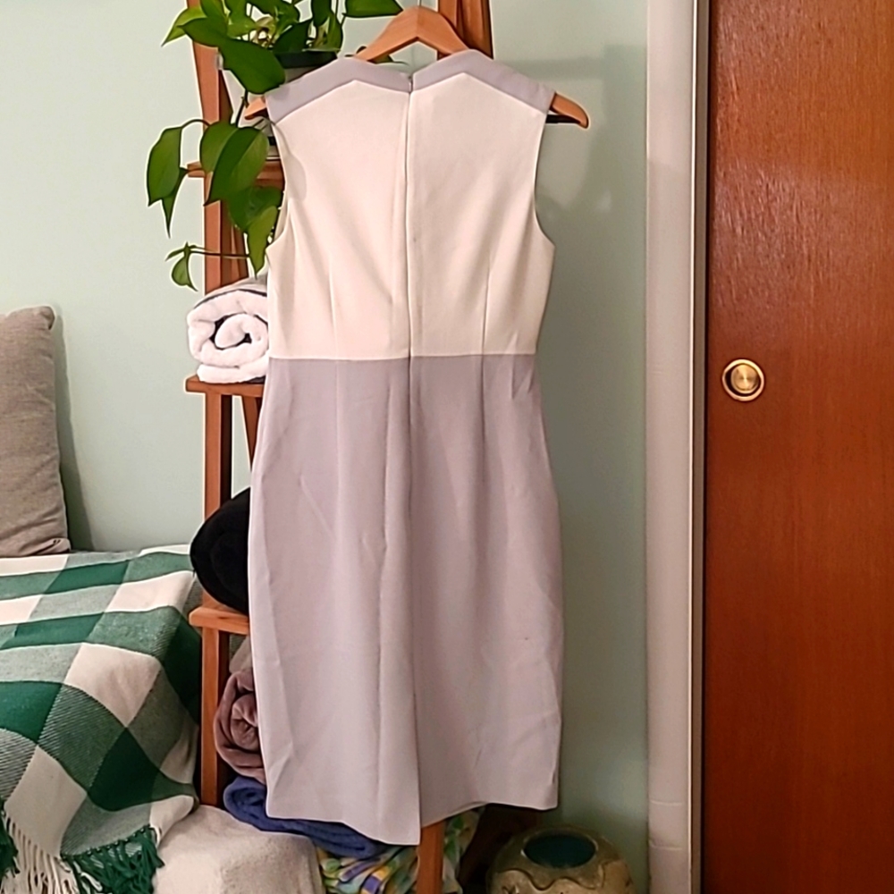 Gorgeous Sheath Dress - Picture 3 of 4